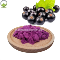 menjual produk bubuk maqui berry kering organik beku